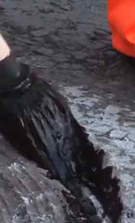 tack coat applied to manhole cut out in pavement